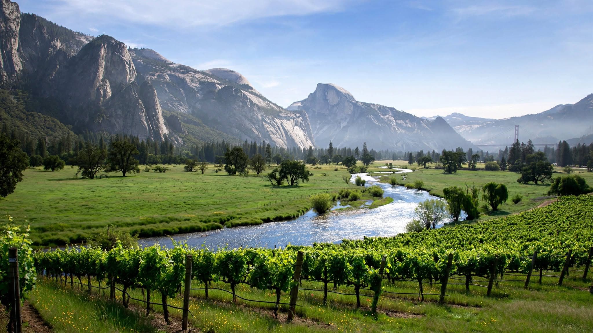 California Tour Packages Yosemite or Napa Valley & Departure itinerary day 07 by Here And There Travels